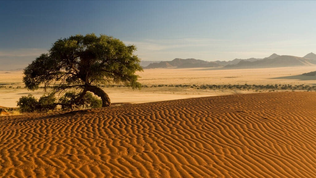 沙漠的沙子可以盖房子吗（沙漠的沙子能不能用于盖房）
