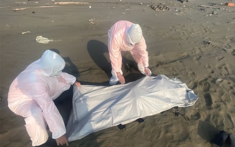 台湾沿海16具浮尸或与偷渡集团有关，2具确定是越南籍民众