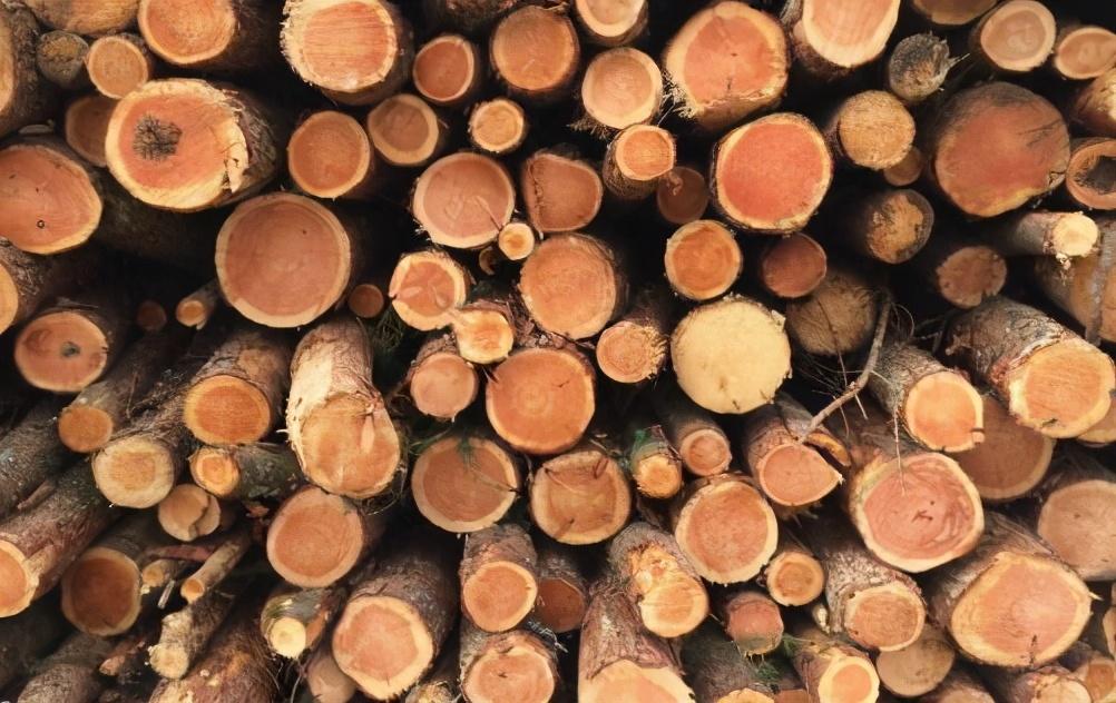 防止木头开裂的方法有哪些（哪些方法可以防止木头开裂）